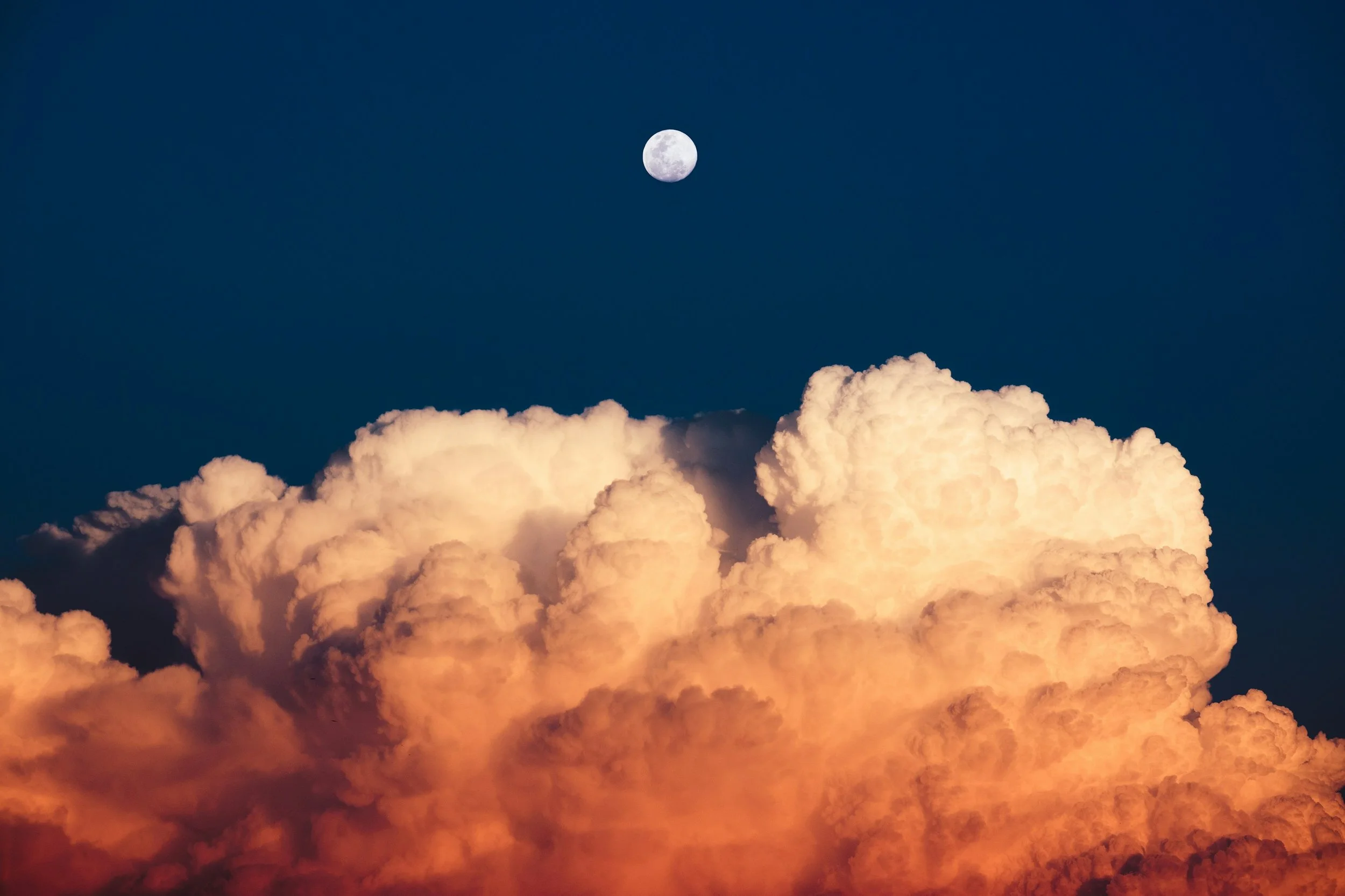 Dream Interpreters: An Evening With Joseph + Freud