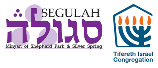 Tisha B'Av Break Fast 2026