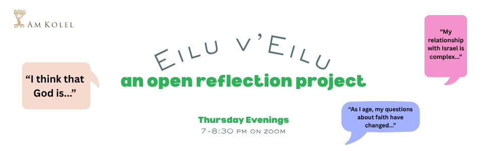 Eilu v'Eilu: the Open Reflection Project - Israel (Personal & Political)